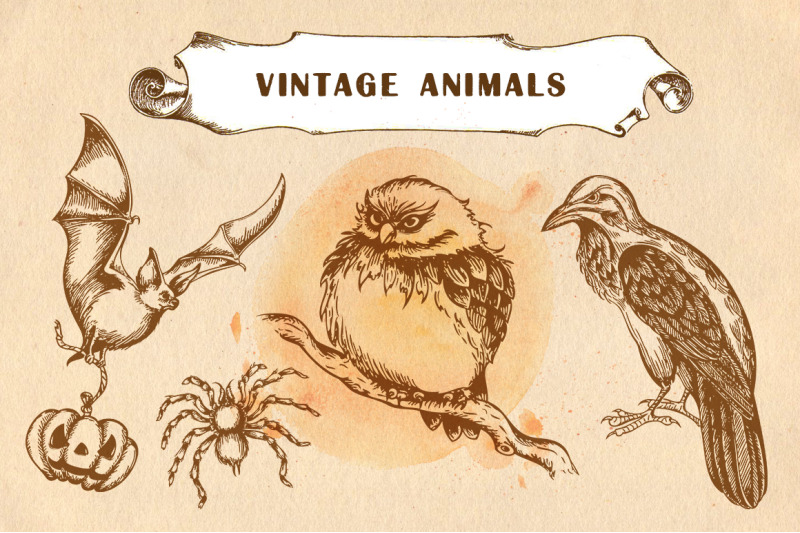set-of-vintage-animals