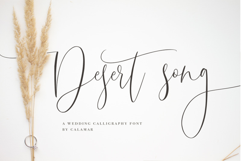 desert-song-calligraphy-script