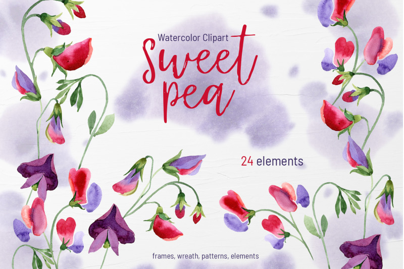 watercolor-flowers-sweet-pea-png