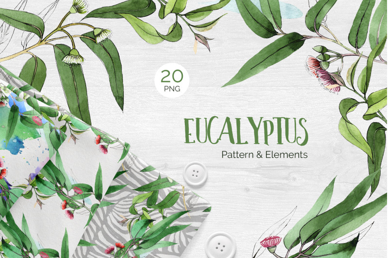 eucalyptus-branch-watercolor-png