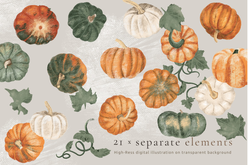 pumpkin-harvest-hand-drawn-autumn-illustration-set