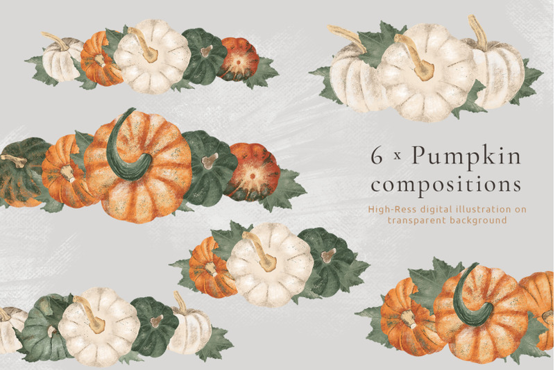 pumpkin-harvest-hand-drawn-autumn-illustration-set