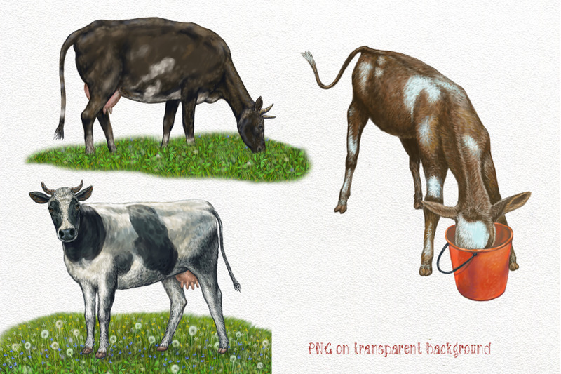farm-cows-clipart-illustrations-clipart-farm