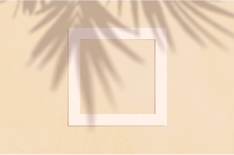 flat-lay-copyspace-with-paper-frame-and-palm-shadow