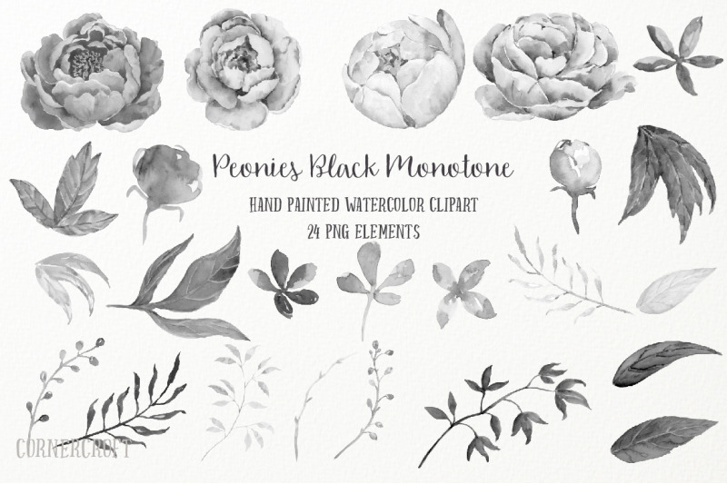 black-and-white-peony-collection
