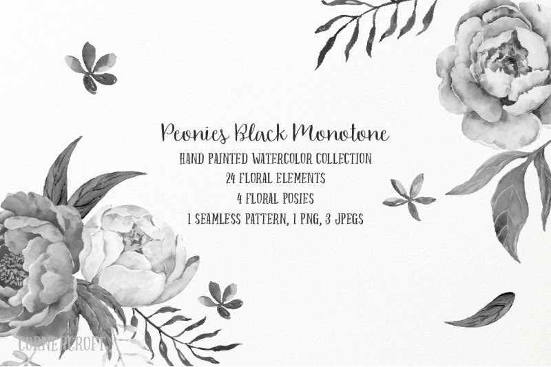 black-and-white-peony-collection