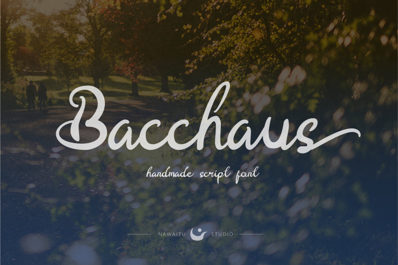 bacchaus-font-script-fonts