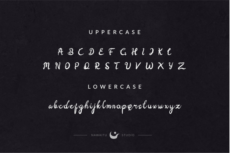 Bacchaus Font Script Fonts By Nawaitu Studio Thehungryjpeg Com