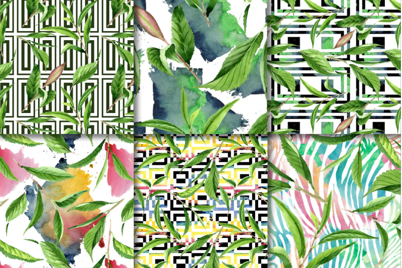 green-tea-leaves-watercolor-png