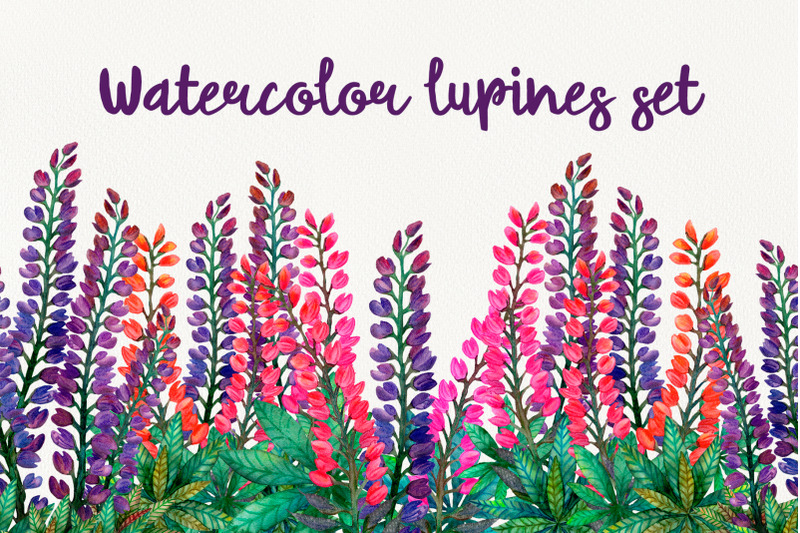 watercolors-lupines-set