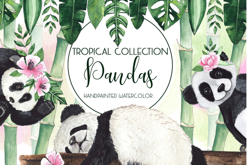 pandas-tropical-collection