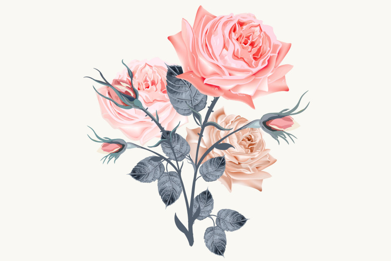 vintage-rose-high-detailed-vector-rose-illustration