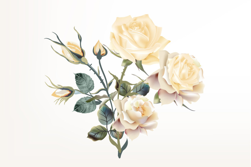 beige-rose-vector-high-detailed-clip-art