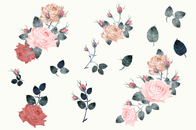 collection-of-vintage-vector-roses-in-classic-watercolor-style