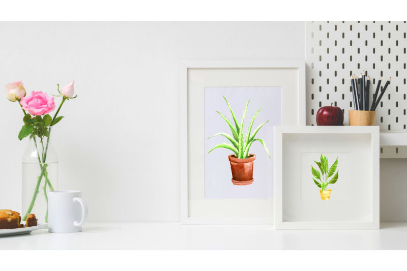 10-indoor-watercolor-plants