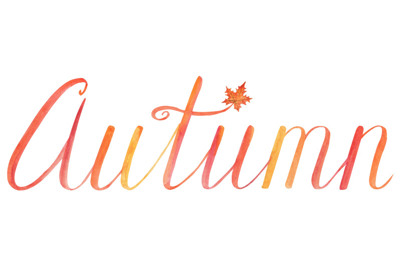watercolor-autumn-leaves-bundle