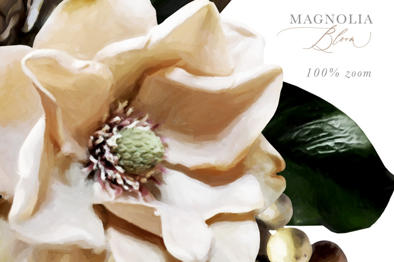 magnolia-bloom-flowers-amp-monograms-clipart