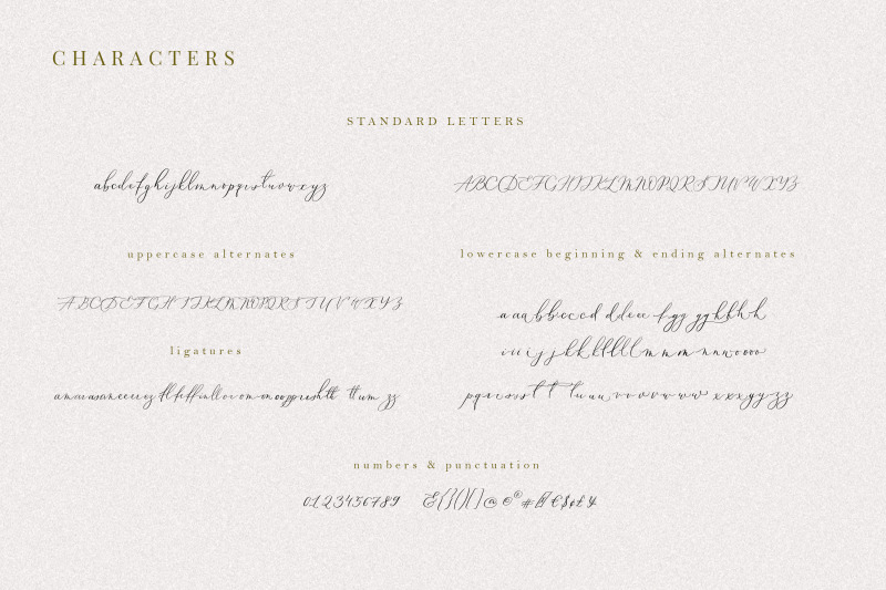 oriole-bird-handwritten-font