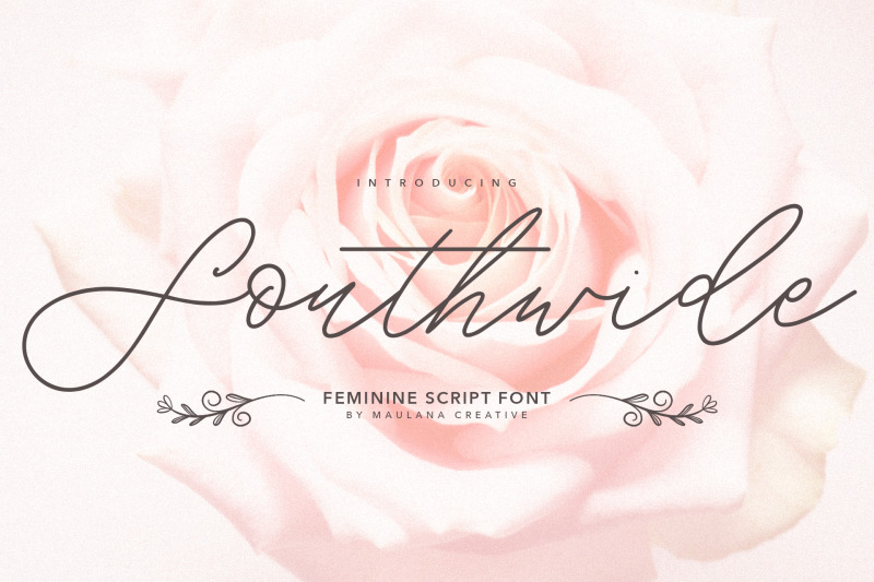 southwide-feminine-script-font