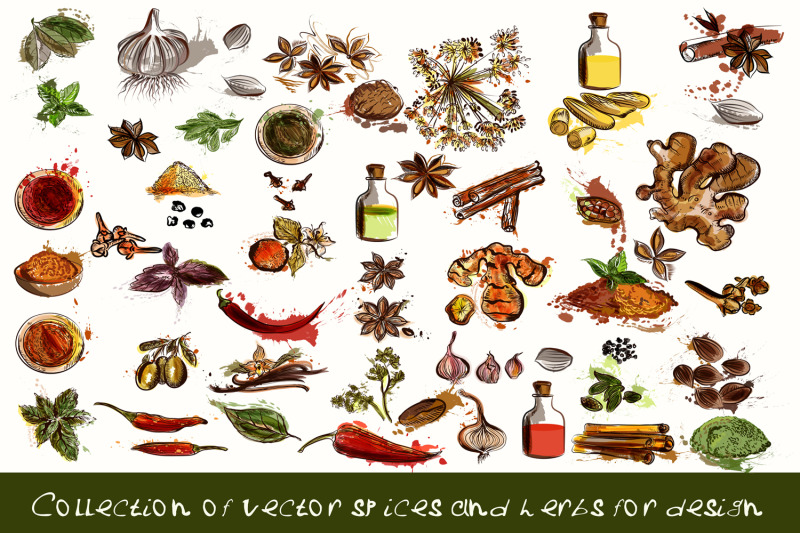collection-of-vector-spices