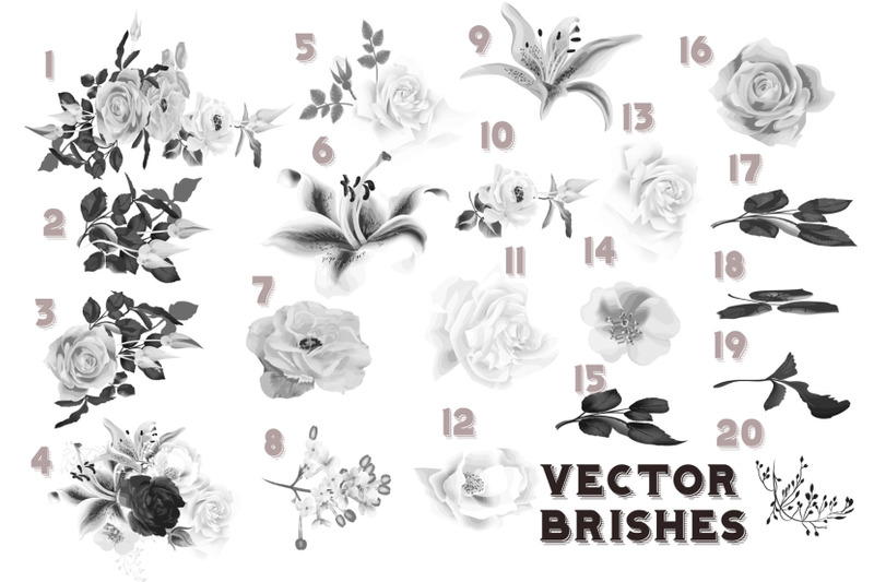 set-of-flower-vector-brushes-for-illustrator