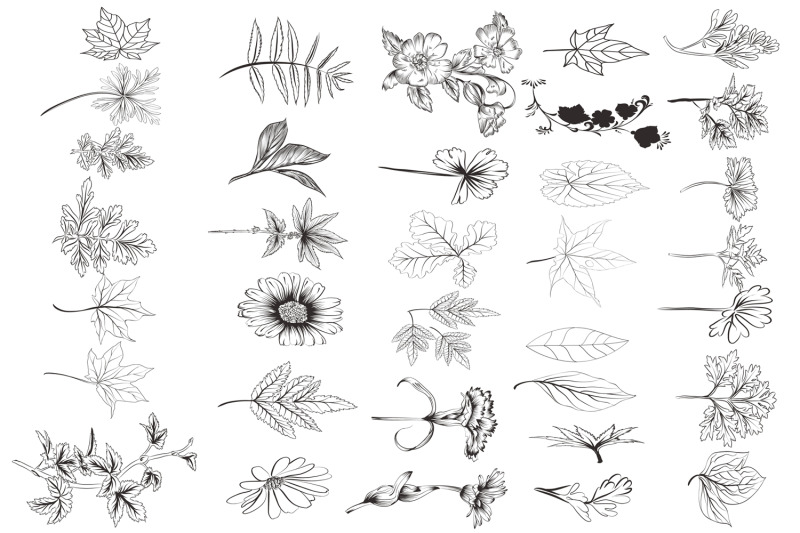 pack-of-floral-vector-brushes-for-illustrator