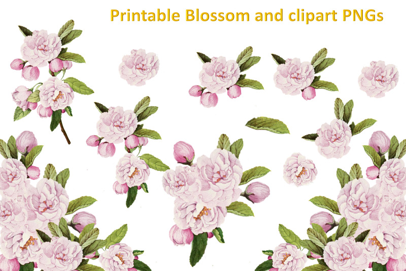 butterflies-and-blossoms-clipart-bundle-commercial-use-png-and-jpeg