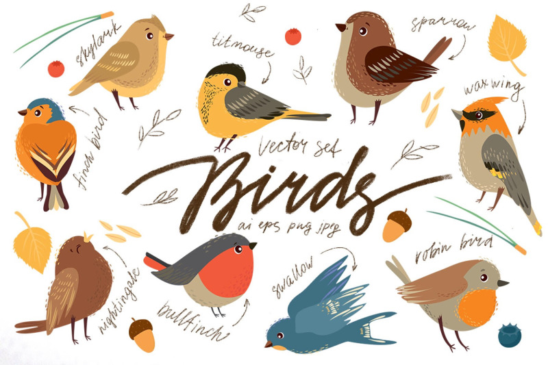 little-birds-vector-set