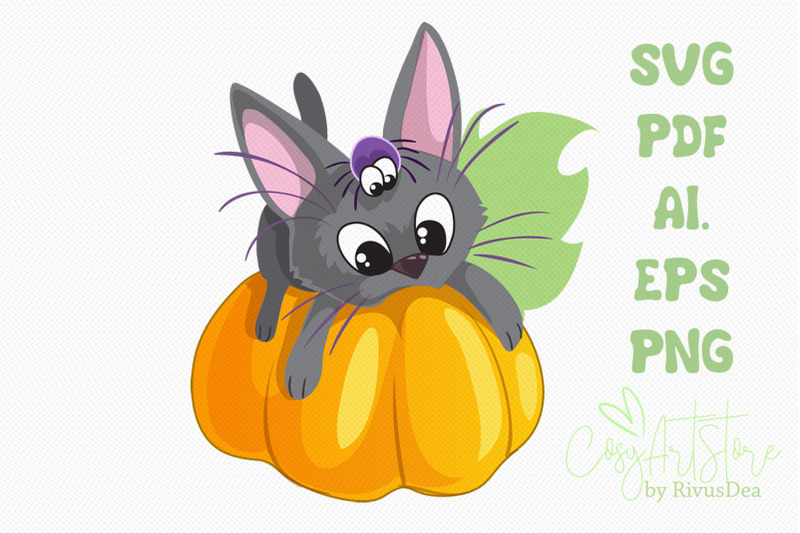 black-kitten-on-pumpkin-svg-download-cute-cat-png-kitten-with-spider