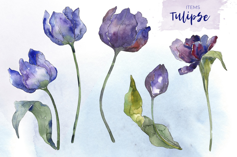 bouquet-of-flowers-tulips-blue-penny-lane-watercolor-png
