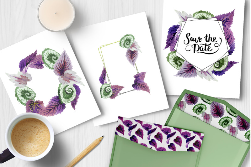decorative-begonia-purple-watercolor-png