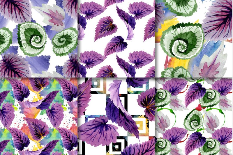 decorative-begonia-purple-watercolor-png