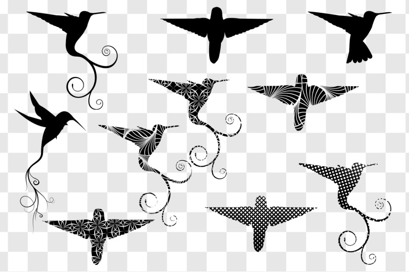 hummingbird-svg-bundle-bird-silhouette-clipart