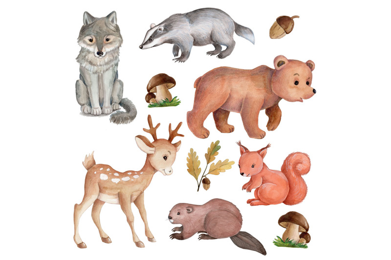 collection-of-watercolor-forest-animals