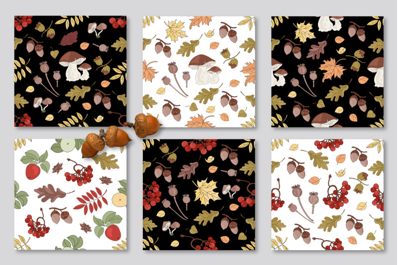 fall-adventures-autumn-season-cartoon-vector-illustration-set