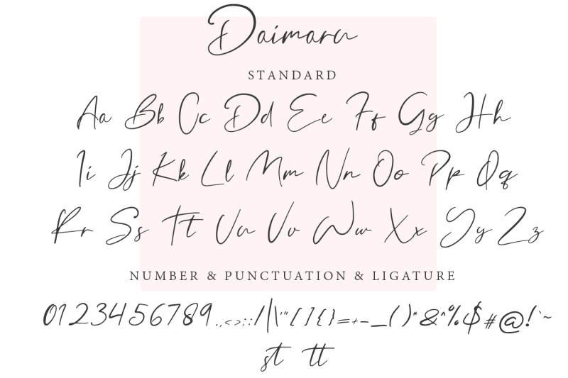 daimaru-modern-signature