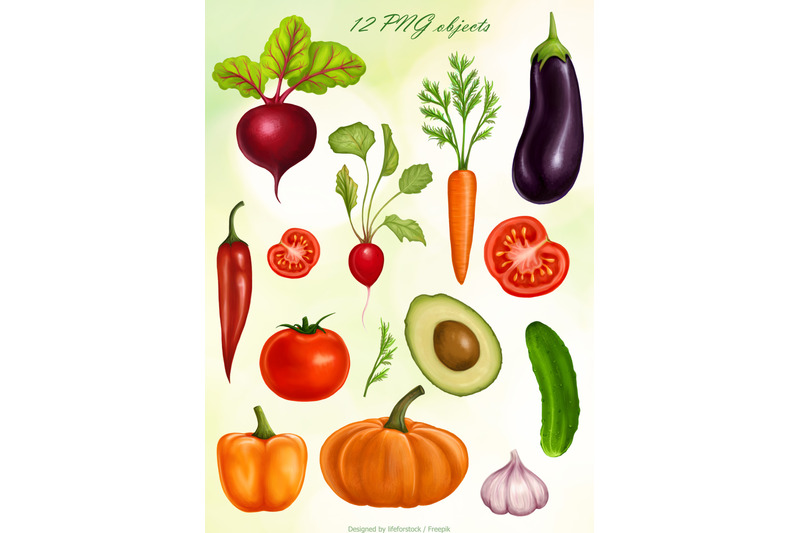 set-of-illustration-digital-realistic-vegetables-vegan