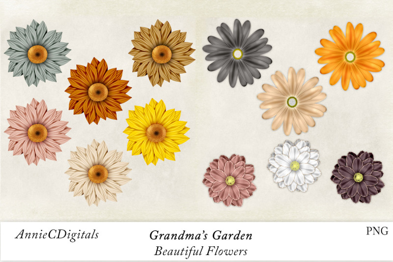 flower-clip-art-daisy-clip-art-grandmas-garden