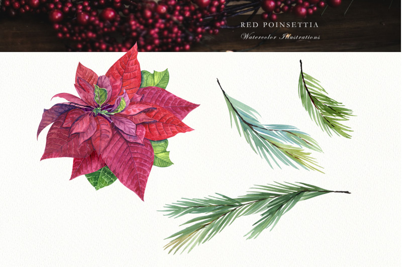 red-poinsettia-watercolor-set