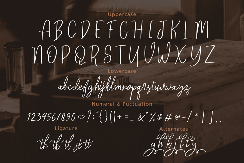 reghina-beautiful-feminine-script-font