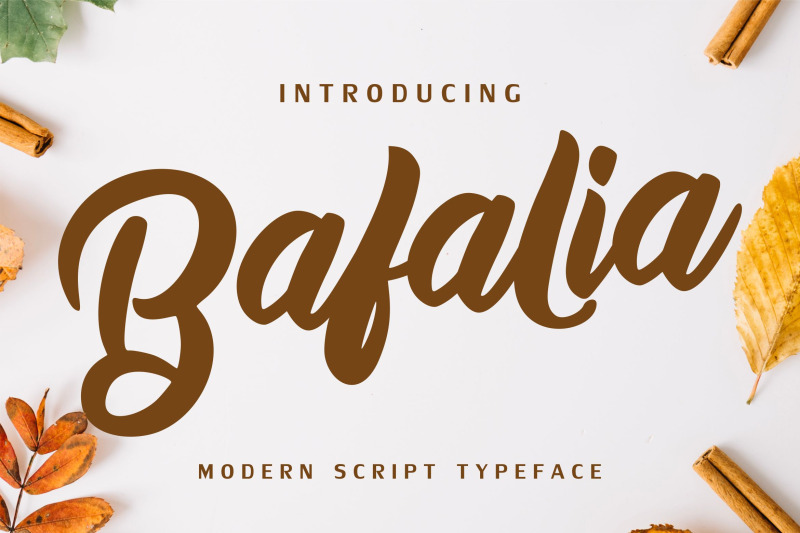 bafalia-modern-script-font
