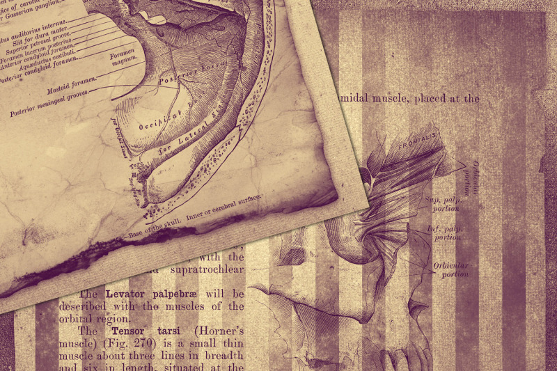 clandestine-anatomy-digital-paper