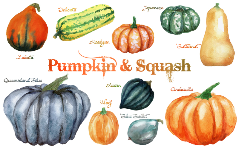 watercolor-pumpkin-and-squash-cliparts