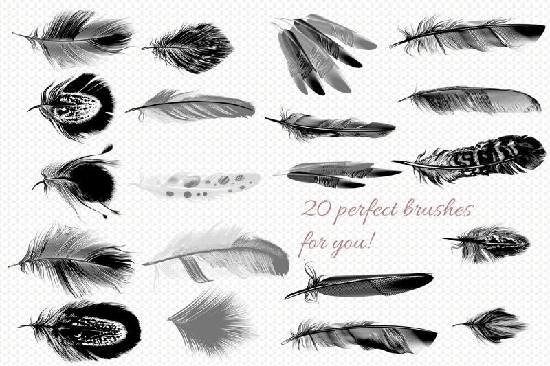 feather-brushes-for-illustrator