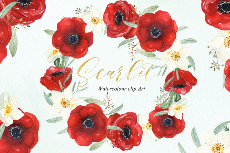 anemones-scarlet-red-watercolour-clipart