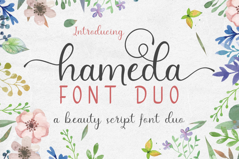hameda-script-font-duo