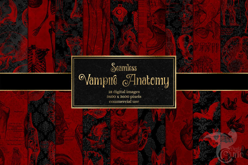 vampire-anatomy-digital-paper