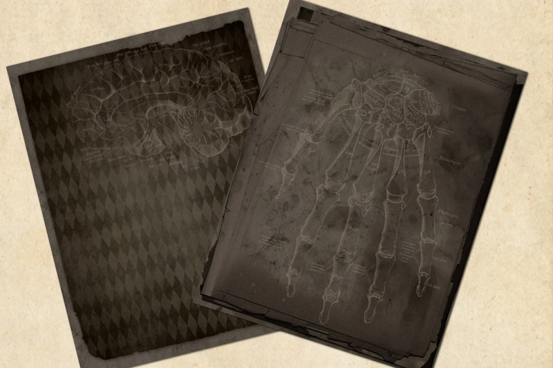 dark-grunge-anatomy-notebook-paper