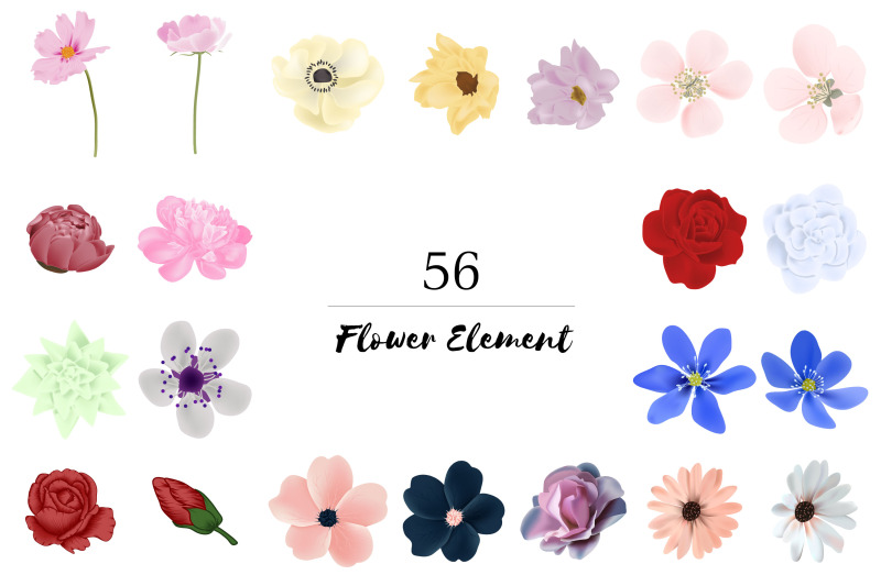 150-flower-and-floral-vector-illustration-element