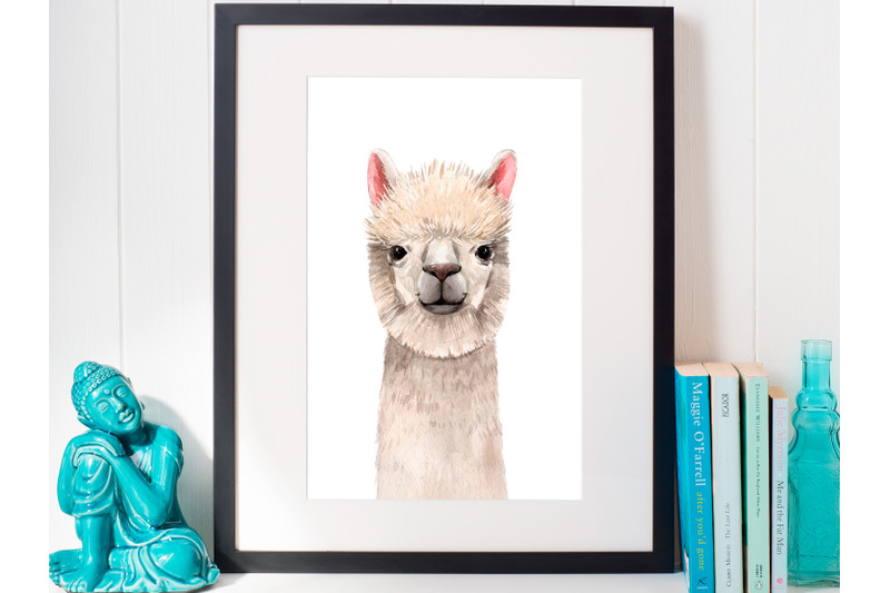 giraffe-lama-and-ostrich-portraits-png-vector